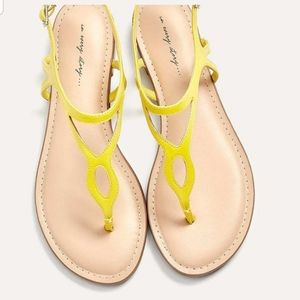 Dandelion Colored T Strap Sandals